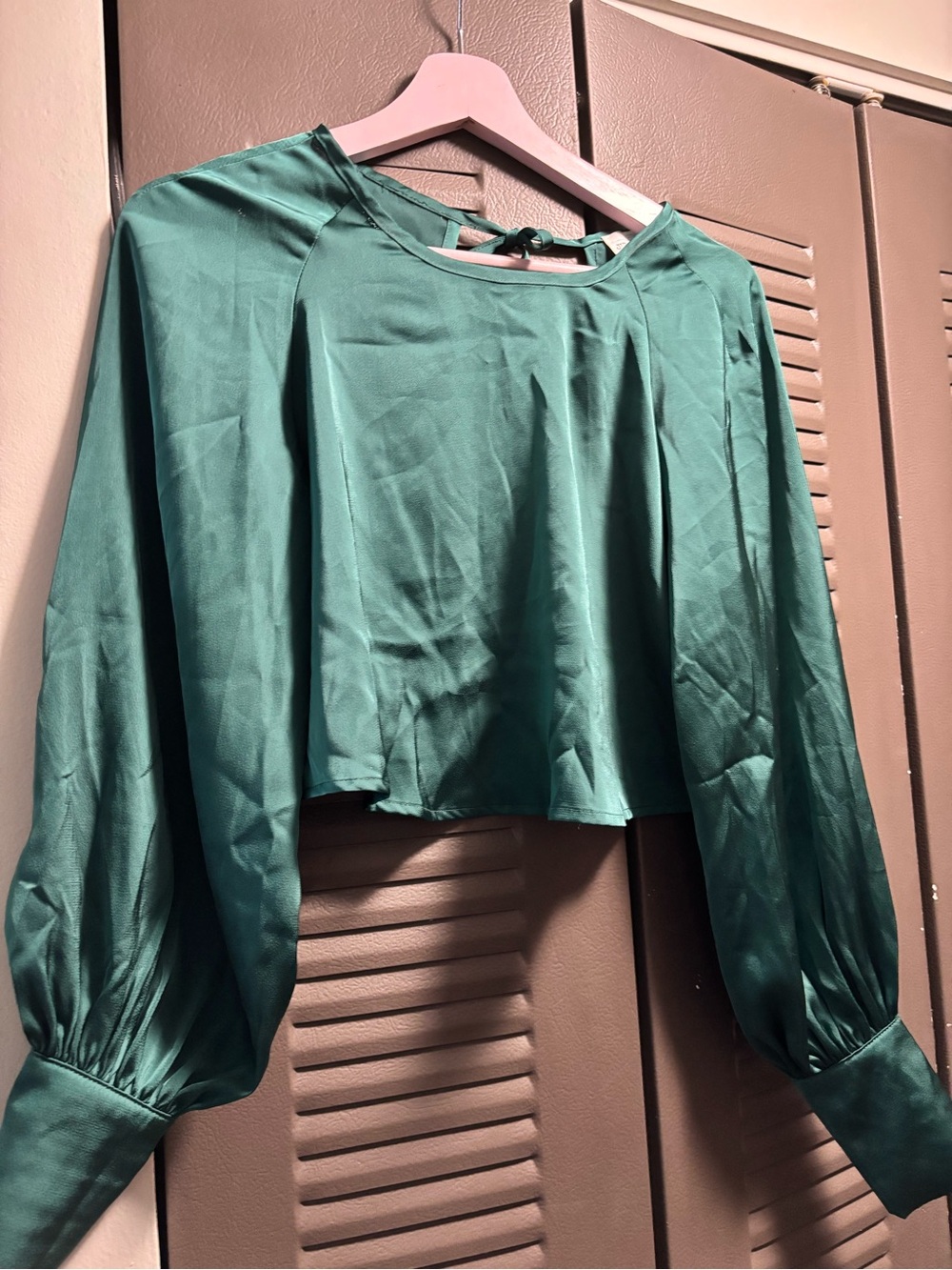 Francesca's Collections Teal Satin Long Sleeve Crop Top